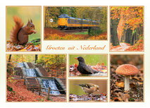 Postcrossing kaarten top 100 | ansichtkaart groeten uit Nederland herfst Postcrossing kaarten top 100 | ansichtkaart groeten uit Nederland herfst