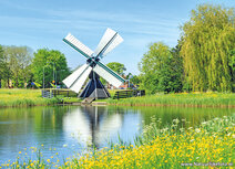 Molen kaarten | ansichtkaart molen Arkens