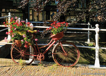 Fiets ansichtkaarten | fiets met bloemen ansichtkaart