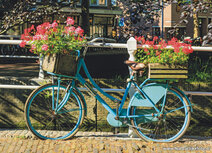 ansichtkaart fiets met bloemen