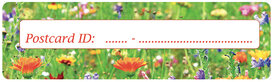 Postcrossing ID stickers | 6x bloemen