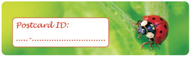Postcrossing ID stickers | 6x lieveheersbeestje