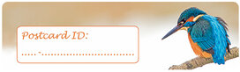 Postcrossing ID stickers | 6x ijsvogel