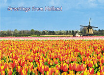 Postcrossing kaarten | ansichtkaart Holland 006