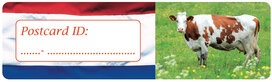Postcrossing ID stickers | 6x Nederlandse vlag en koe