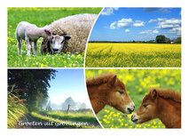 Ansichtkaarten Groningen |  Ansichtkaart groeten uit Groningen 005