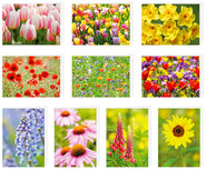 20 blanco wenskaarten + envelop 20 blanco wenskaarten + envelop
