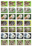 Beloningsstickers kopen | uilen stickervel Beloningsstickers kopen | uilen stickervel