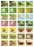 Beloningsstickers school kopen Beloningsstickers school kopen