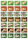 Beloningsstickers katten Beloningsstickers katten