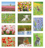 Wenskaarten zonder tekst - set van 11 stuks Wenskaarten zonder tekst - set van 11 stuks
