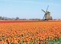 Molen kaarten | ansichtkaart molen O-T