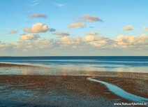 Wereld erfgoed kaarten | het wad ansichtkaart 