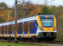 Trein ansichtkaarten | NS trein in de herfst ansichtkaart Trein ansichtkaarten | NS trein in de herfst ansichtkaart
