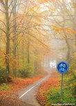 ansichtkaart fietspad in de herfst