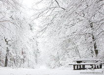 Winter kaarten | ansichtkaart picknicktafel in de sneeuw