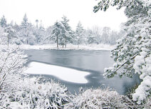 Winter kaarten | Freulevijver ansichtkaart 