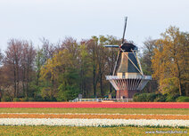 Molen kaarten | ansichtkaart Keukenhof molen