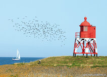 Vuurtoren kaarten | ansichtkaart havenlicht Stavoren