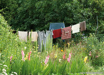 ansichtkaart waslijn