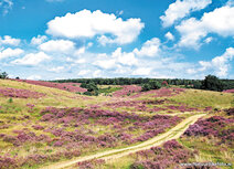 ansichtkaart de Posbank bij Arnhem