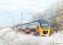Trein kaarten | ansichtkaart NS trein in de winter Trein kaarten | ansichtkaart NS trein in de winter