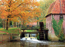 Herfstkaartje | Berenschot's watermolenansichtkaart Herfstkaartje | Berenschot's watermolenansichtkaart