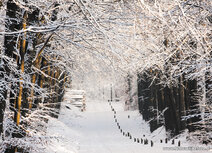 ansichtkaart winterslaantje