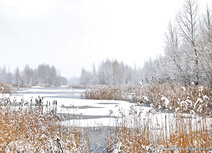ansichtkaart winters landschap