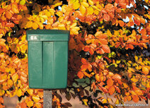 Brievenbus kaarten | ansichtkaart groene brievenbus in de herfst Brievenbus kaarten | ansichtkaart groene brievenbus in de herfst