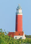 Vuurtoren kaarten | ansichtkaart vuurtoren van Texel