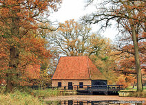 Herfst kaarten | Noordmolen in Ambt Delden ansichtkaart Herfst kaarten | Noordmolen in Ambt Delden ansichtkaart