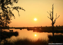 ansichtkaart zonsondergang Dwingelderveld ansichtkaart zonsondergang Dwingelderveld