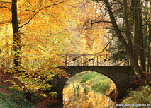 Herfst kaarten| ansichtkaart bruggetje bij watermolen Hackfort Herfst kaarten| ansichtkaart bruggetje bij watermolen Hackfort