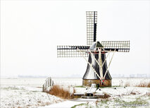 ansichtkaart molen de Gans - Ezumazijl