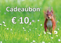 Cadeaubon voor kaarten en stickervellen €10,00