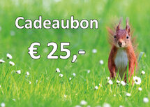 Cadeaubon voor kaarten en stickervellen € 25,00