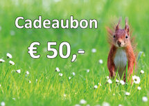 Cadeaubon voor kaarten en stickervellen € 50,00