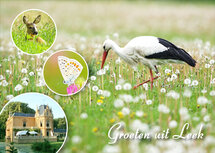 Ansichtkaarten Groningen | Ansichtkaart Leek 002