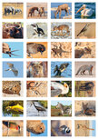Beloningsstickers Afrikaanse dieren Beloningsstickers Afrikaanse dieren