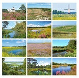 Ansichtkaarten Nederland 12 x landschap Ansichtkaarten Nederland 12 x landschap