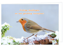 Luxe kerstkaarten vogels | roodborstje Luxe kerstkaarten vogels | roodborstje