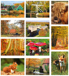Herfst kaarten set Herfst kaarten set