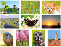 Postcrossing kaarten set Postcrossing kaarten set