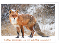 Luxe kerstkaarten 2025 | Dieren | vos Luxe kerstkaarten 2025 | Dieren | vos
