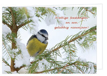 Luxe kerstkaarten vogels | pimpelmees Luxe kerstkaarten vogels | pimpelmees