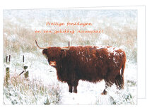 Luxe kerstkaarten 2025 | Dieren | Schotse hooglander Luxe kerstkaarten 2025 | Dieren | Schotse hooglander