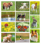 goedkope ansichtkaarten - set met 11 leuke ansichtkaarten goedkope ansichtkaarten - set met 11 leuke ansichtkaarten