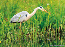 Fotografie workshop Heerenveen 