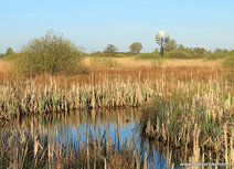 Fotografie workshop Eernewoude